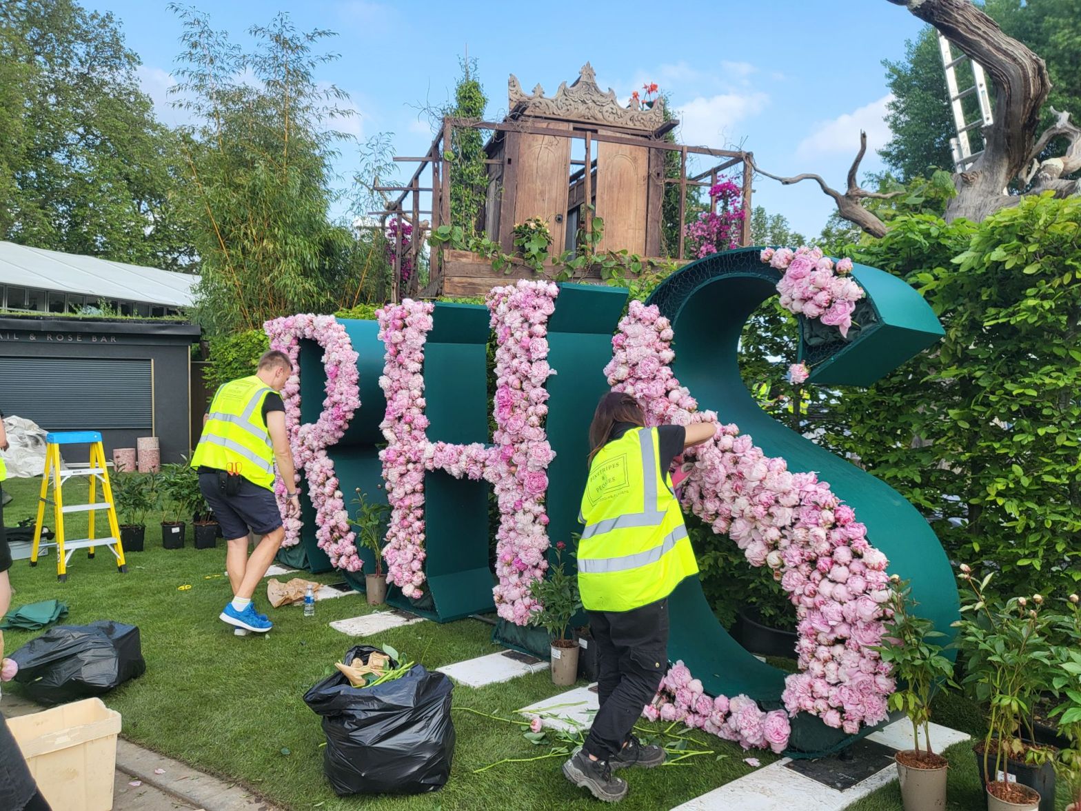 Behind the scenes at RHS Chelsea Flower Show 2024 in&nbsp;pics