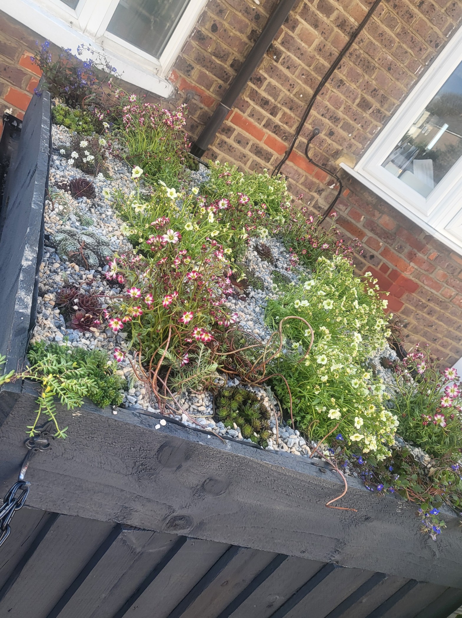 How to build a bin store with a green&nbsp;roof